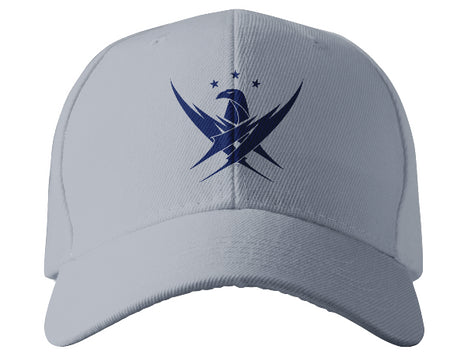 NEW Falcon Baseball Cap